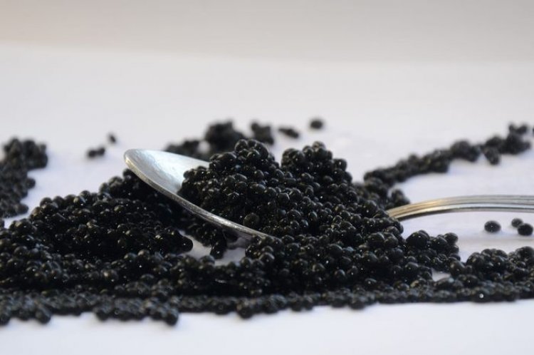 Kaviar, makanan mewah favorit Sisca Kohl yang memiliki banyak manfaat untuk kesehatan