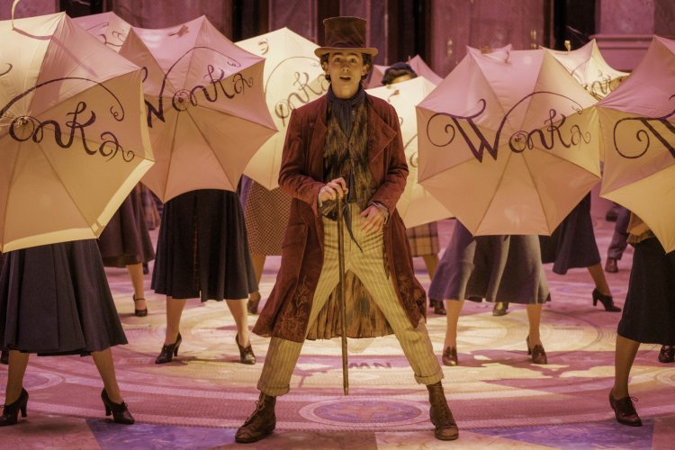Penuh Petualangan Ajaib, Simak Fakta Menarik Film Wonka 2023 yang  Dibintangi Timothee Chalamet dan Komedian Rowan Atkinson