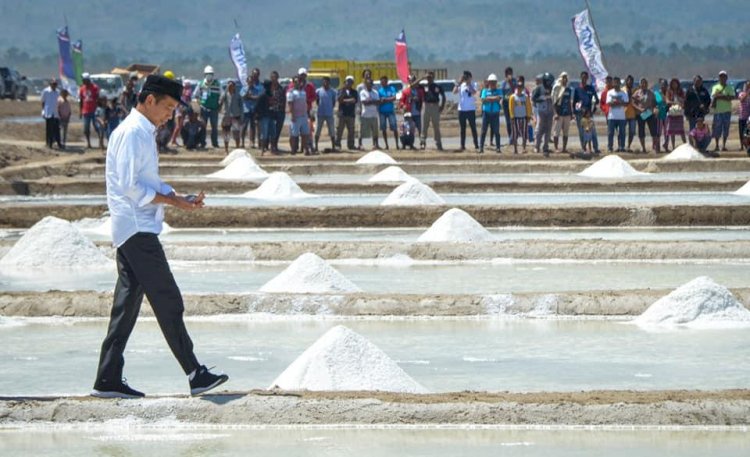 Jokowi Ungkap Alasan RI Masih Terus Impor Garam