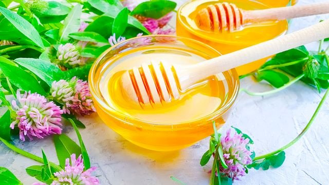 Pernah Jadi Produk MLM, Apa Saja Khasiat Clover Honey?