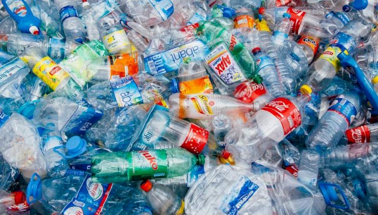 Yuk, Terapkan 4 Langkah Kurangi Limbah Plastik Demi Jaga Bumi!