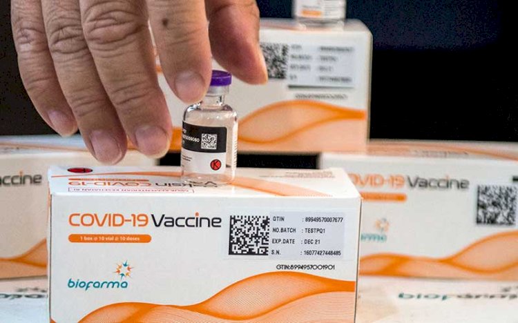Mulai Hari Ini, Bisa Vaksin Berbayar di Kimia Farma